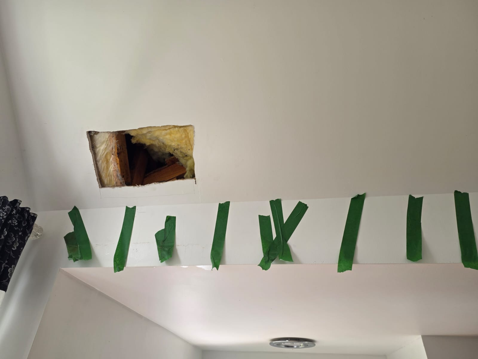 Ceiling cavity after targeted hidden nest treatment and removal